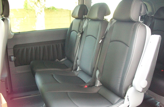 Mercedes Viano